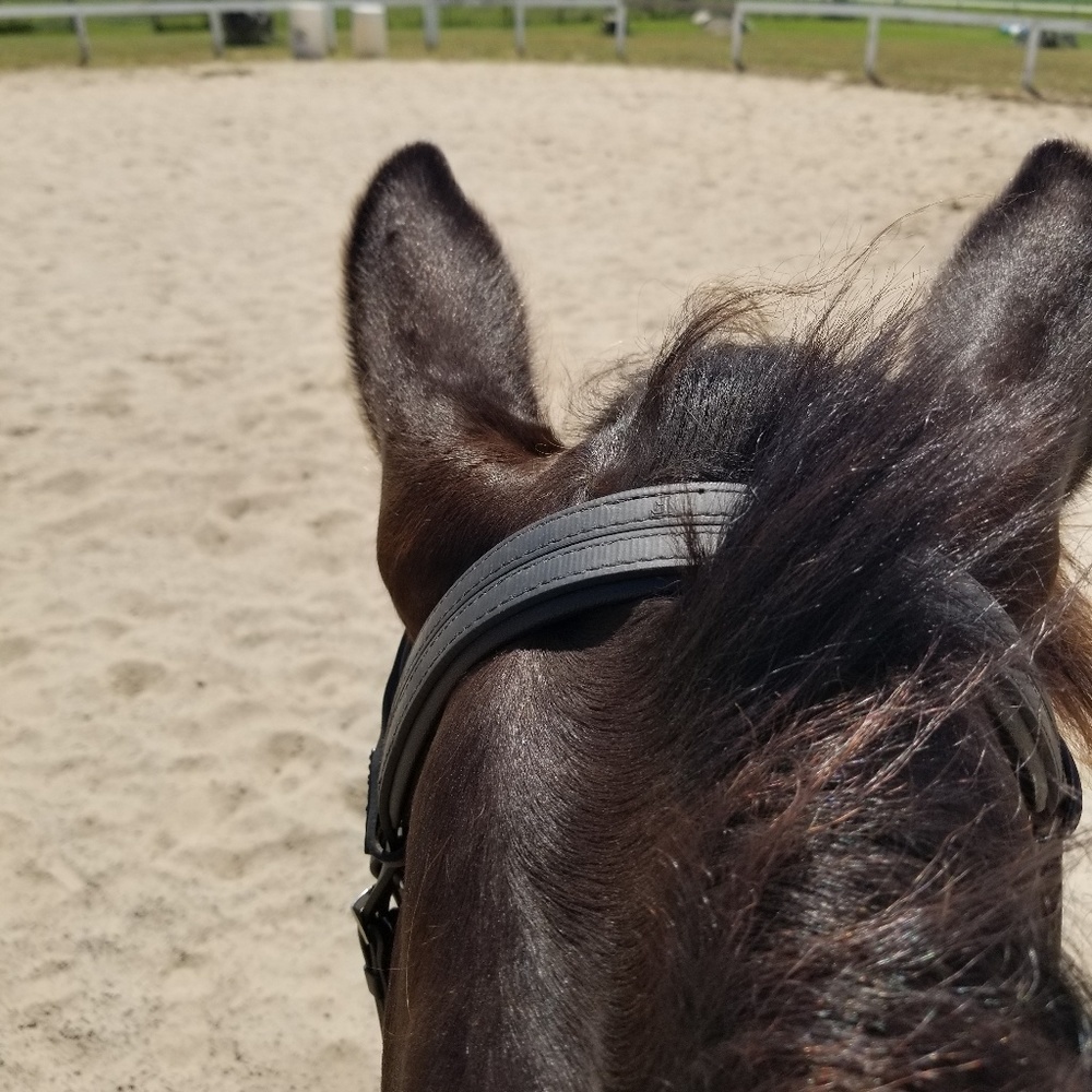 Meet your Posher, Sam